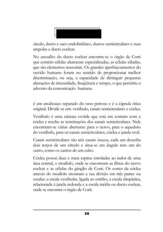Labirinto perilinfático:

sáculo, ducto e saco endolinfático, ductos semicirculares e suas
ampolas e ducto coclear.
No assoalho do ducto coclear encontra-se o órgão de Corti
que contém células altamente especializadas, as células ciliadas,
que são elementos sensoriais. Os grandes aperfeiçoamentos do
ouvido humano foram no sentido de proporcionar melhor
discriminação, ou seja, a capacidade de distinguir pequenas
alterações de intensidade, freqüência e tempo, o que permitiu o
advento da comunicação humana.
é um arcabouço separado do osso petroso e é a cápsula ótica
original. Divide-se em: vestíbulo, canais semicirculares e cóclea.
Vestíbulo é uma câmara ovóide que está em contato com a
cóclea e recebe as terminações dos canais semicirculares. Nele
encontram-se várias aberturas: para o nervo, para o aqueduto
do vestíbulo, para os canais semicirculares, cóclea e janela oval.
Canais semicirculares são três canais ósseos, cada um desenha
dois terços de um círculo e situa-se em ângulo reto um do
outro, como os cantos de um cubo.
Cóclea possui duas e meia espiras enroladas ao redor de uma
área central, o modíolo, onde se encontram as fibras do nervo
coclear e as células do gânglio de Corti. Os cortes da cóclea
através do modíolo mostram a sua divisão em três partes ou
escalas: a escala vestibular, ligada ao estribo, a escala timpânica,
relacionada à janela redonda e a escala média ou ducto coclear,
onde se encontra o órgão de Corti.

29

 