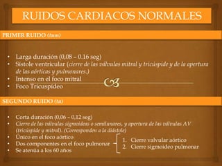 RUIDOS CARDIACOS NORMALES
PRIMER RUIDO (tum)


 • Larga duración (0,08 – 0.16 seg)
 • Sístole ventricular (cierre de las v...