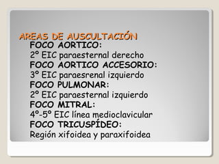 AREAS DE AUSCULTACIÓN
  FOCO AORTICO:
  2º EIC paraesternal derecho
  FOCO AORTICO ACCESORIO:
  3º EIC paraesrenal izquierdo
  FOCO PULMONAR:
  2º EIC paraesternal izquierdo
  FOCO MITRAL:
  4º-5º EIC línea medioclavicular
  FOCO TRICUSPÍDEO:
  Región xifoidea y paraxifoidea
 