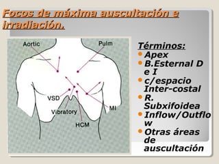 Focos de máxima auscultación e
irradiación.

                      Términos:
                      Apex
                      B.Esternal D
                       eI
                      c/espacio
                       Inter-costal
                      R.
                       Subxifoidea
                      Inflow/Outflo
                       w
                      Otras áreas
                       de
                       auscultación
 