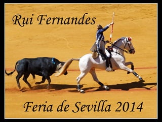 Rui Fernandes 
Feria de Sevilla 2014 
 
