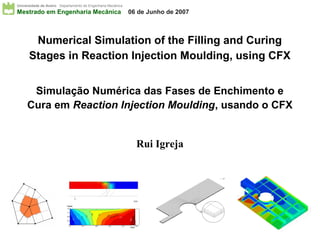 Universidade de Aveiro Departamento de Engenharia Mecânica
Mestrado em Engenharia Mecânica                                                                                          06 de Junho de 2007



       Numerical Simulation of the Filling and Curing
      Stages in Reaction Injection Moulding, using CFX


      Simulação Numérica das Fases de Enchimento e
     Cura em Reaction Injection Moulding, usando o CFX


                                                                                                                                  Rui Igreja




                           Y [mm]
                           1.6

                           1.2
                                                           0. 6



                                                                        0. 7




                                                                               0. 8                  oint)
                                                                                                el p
                                                     0.5




                           0.8                                                             (g
                                                                                      0.85
                                              0.4




                                                                                                             0.9
                                       0. 3




                                                                                                                         0.96
                                 0.2




                           0.4

                            0
                             0                 0.1                0.2           0.3                                0.4           0.5
                                                                                                                         X [m]
 