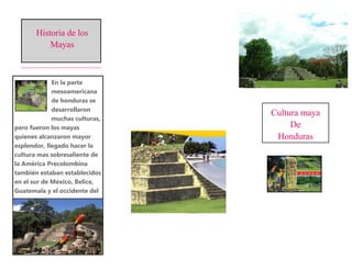 Cultura maya
De
Honduras
En la parte
mesoamericana
de honduras se
desarrollaron
muchas culturas,
pero fueron los mayas
quienes alcanzaron mayor
esplendor, llegado hacer la
cultura mas sobresaliente de
la América Precolombina
también estaban establecidos
en el sur de México, Belice,
Guatemala y el occidente del
Historia de los
Mayas
.
 