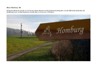 Ruine Homburg / BL
Die Ruine befindet sich auf 650 m ü. M. über der engsten Stelle des nach ihr benannten Homburgertals. Von den SBB-Stationen Buckten und
Läufelfingen sowie von Bad Ramsach aus erreicht man sie zu Fuss in ca. 30 Minuten.
 