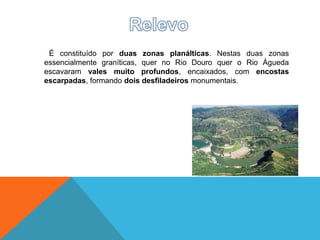 É constituído por duas zonas planálticas. Nestas duas zonas
essencialmente graníticas, quer no Rio Douro quer o Rio Águeda
escavaram vales muito profundos, encaixados, com encostas
escarpadas, formando dois desfiladeiros monumentais.
 
