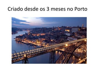 Criado desde os 3 meses no Porto
