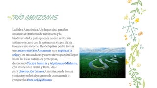 RÍO AMAZONAS
La Selva Amazónica,Un lugar ideal paralos
amantes delturismo de naturaleza yla
biodiversidad ypara quienes desean sentir un
íntimo contactoconlanaturaleza virgende los
bosques amazónicos. Desde Iquitos podrá tomar
un crucero enelríoAmazonas para explorar la
selva ylosmás audaces y aventureros pueden llegar
hasta las áreas naturales protegidas,
destacando Pacaya Samiria yAllpahuayo Mishana,
conexuberante fauna yflora,ideal
para observaciónde aves, también puede tomar
contactoconlosaborígenes dela amazonía o
conocerlos ritos del ayahuasca.
 