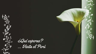 ¿Qué esperas?
... Visita el Perú
 