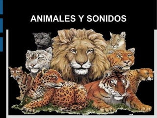 ANIMALES Y SONIDOS 