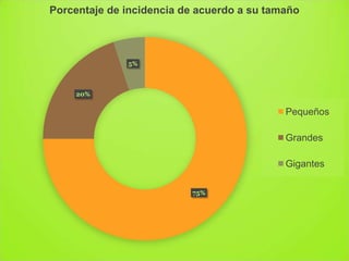 75%
20%
5%
Porcentaje de incidencia de acuerdo a su tamaño
Pequeños
Grandes
Gigantes
 