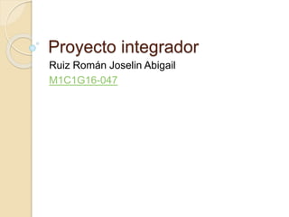 Proyecto integrador
Ruiz Román Joselin Abigail
M1C1G16-047
 