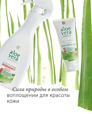 Сила природы в особом
воплощении для красоты
кожи
 