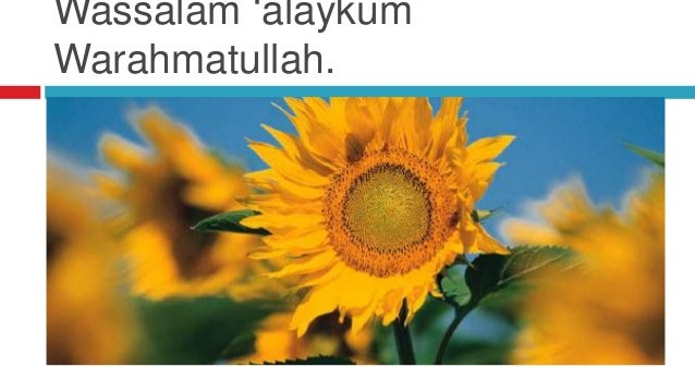 Rukun bai'ah ke tujuh – thabat dalam dakwah