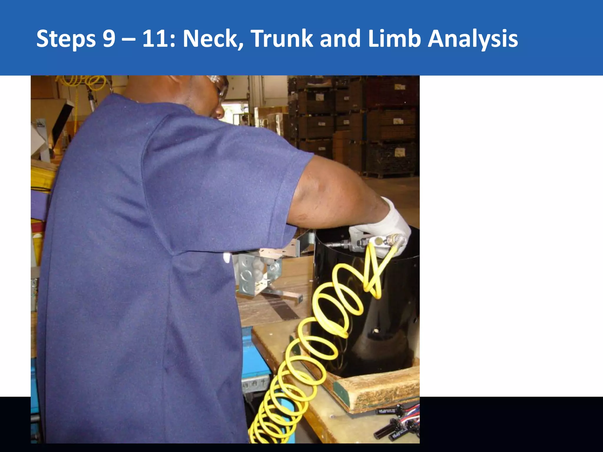 Steps 9 – 11: Neck, Trunk and Limb Analysis

 