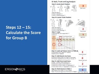 Rula Card RULA - Rapid Upper Limb Assessment | PDF