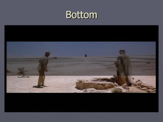 Bottom
 