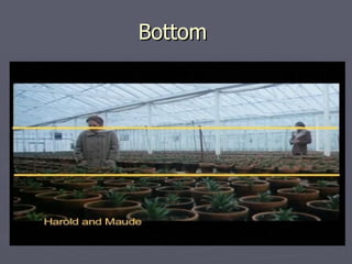 Bottom
 