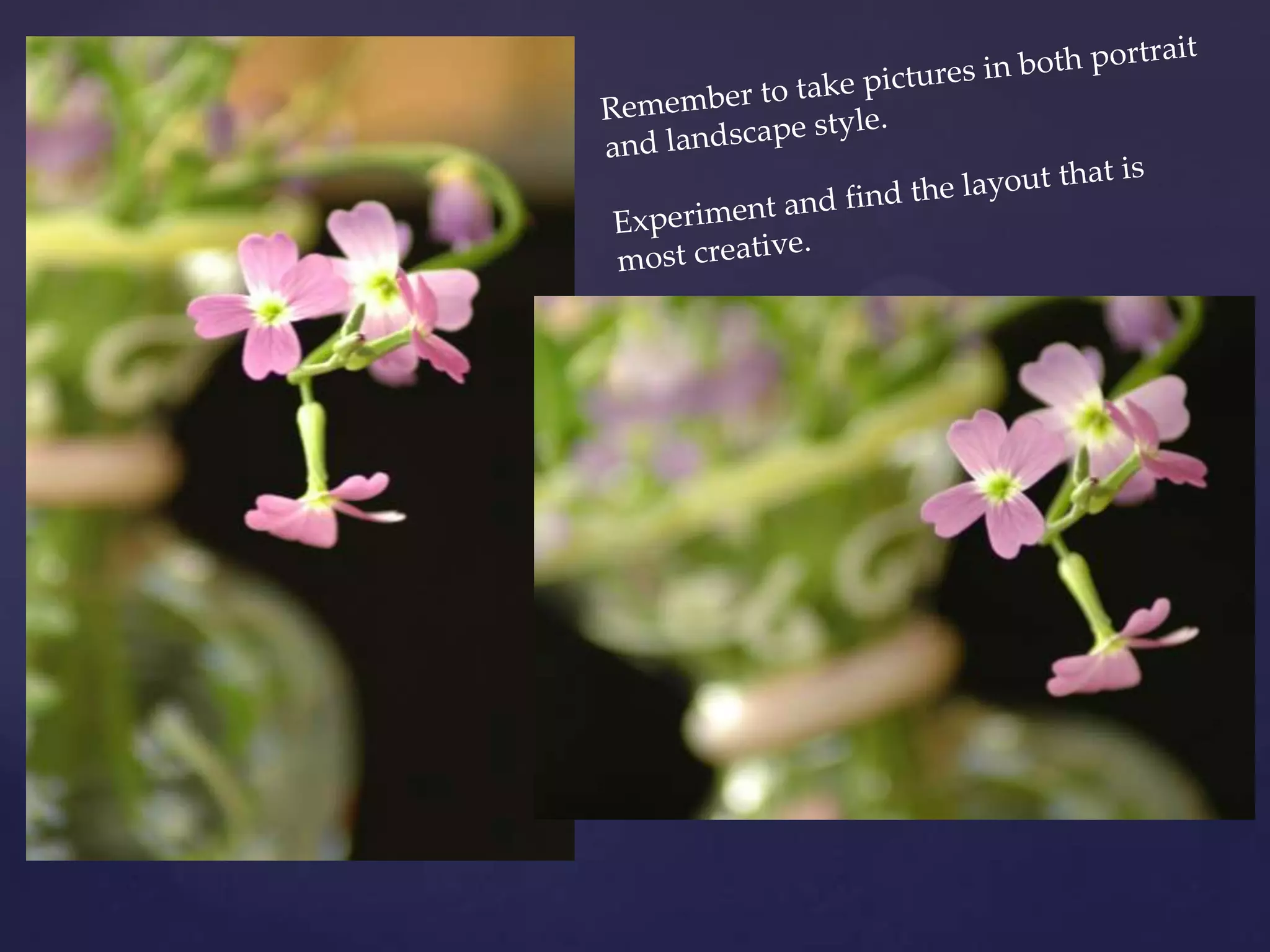 Remember to take pictures in both portrait and landscape style. Experiment and find the layout that is most creative.