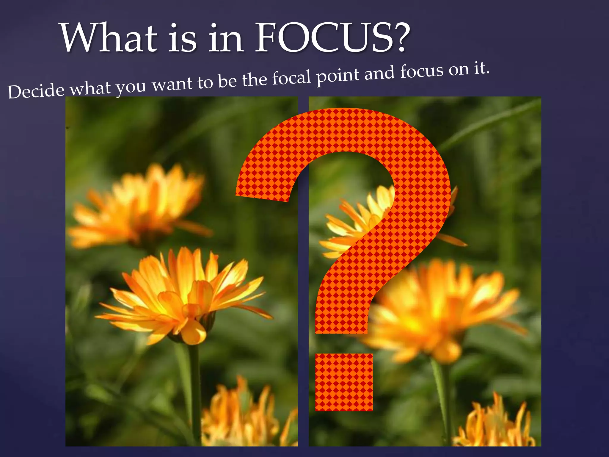 ?What is in FOCUS?Decide what you want to be the focal point and focus on it.