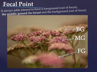 Focal PointIt always adds interest to have a foreground (out of focus),the middle ground (in focus) and the background (out of focus)BGMGFG