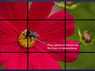 Place points of interest on the lines or intersections.