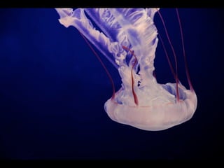 Composition: Rule Of Thirds