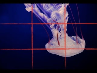 Composition: Rule Of Thirds