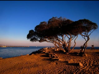 Composition: Rule Of Thirds