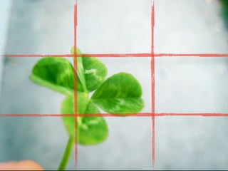 Composition: Rule Of Thirds