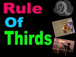 Rule Of Thirds  