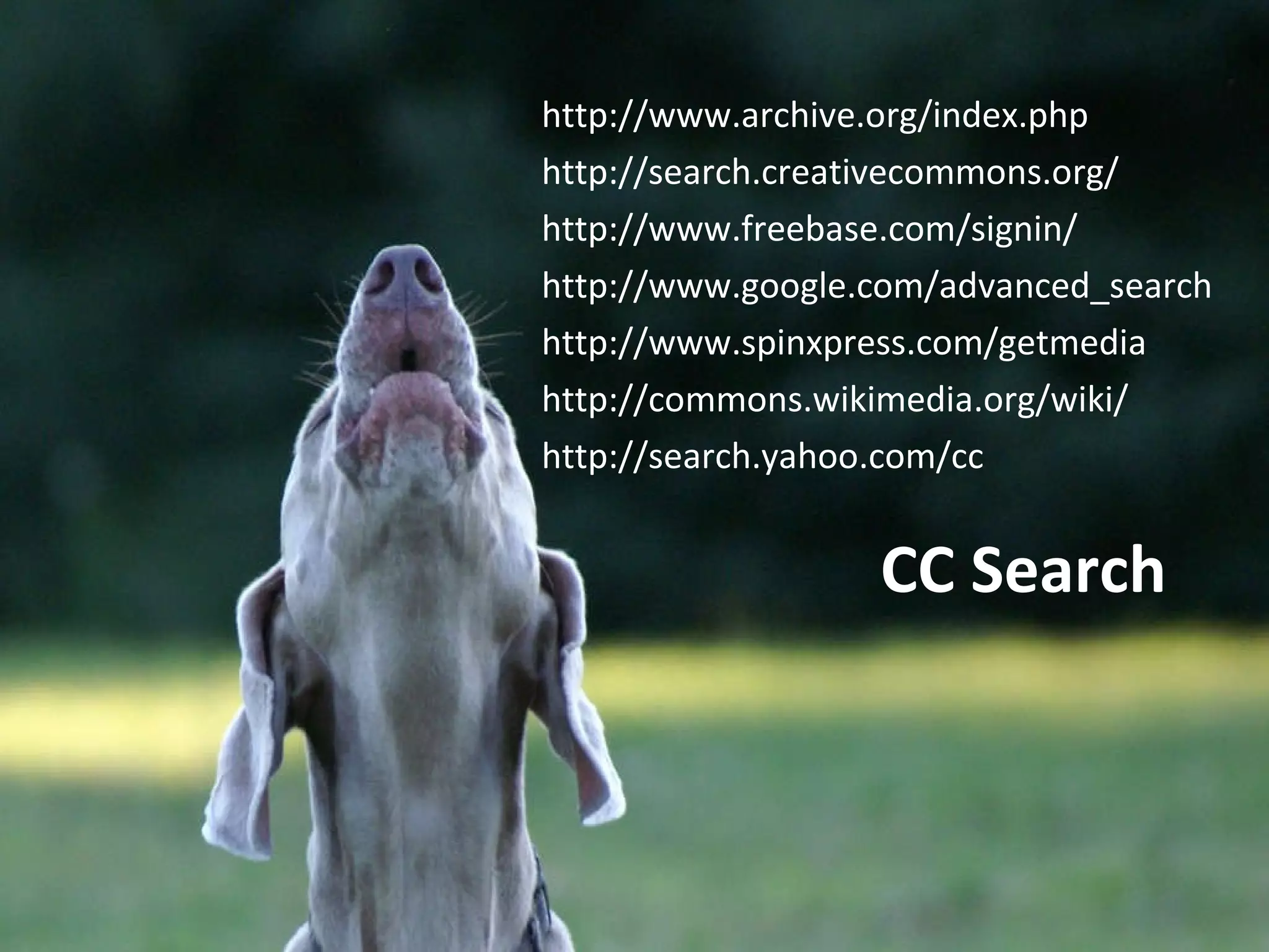 CC Search http://www.archive.org/index.php http://search.creativecommons.org/ http://www.freebase.com/signin/ http://www.google.com/advanced_search http://www.spinxpress.com/getmedia http://commons.wikimedia.org/wiki/ http://search.yahoo.com/cc 