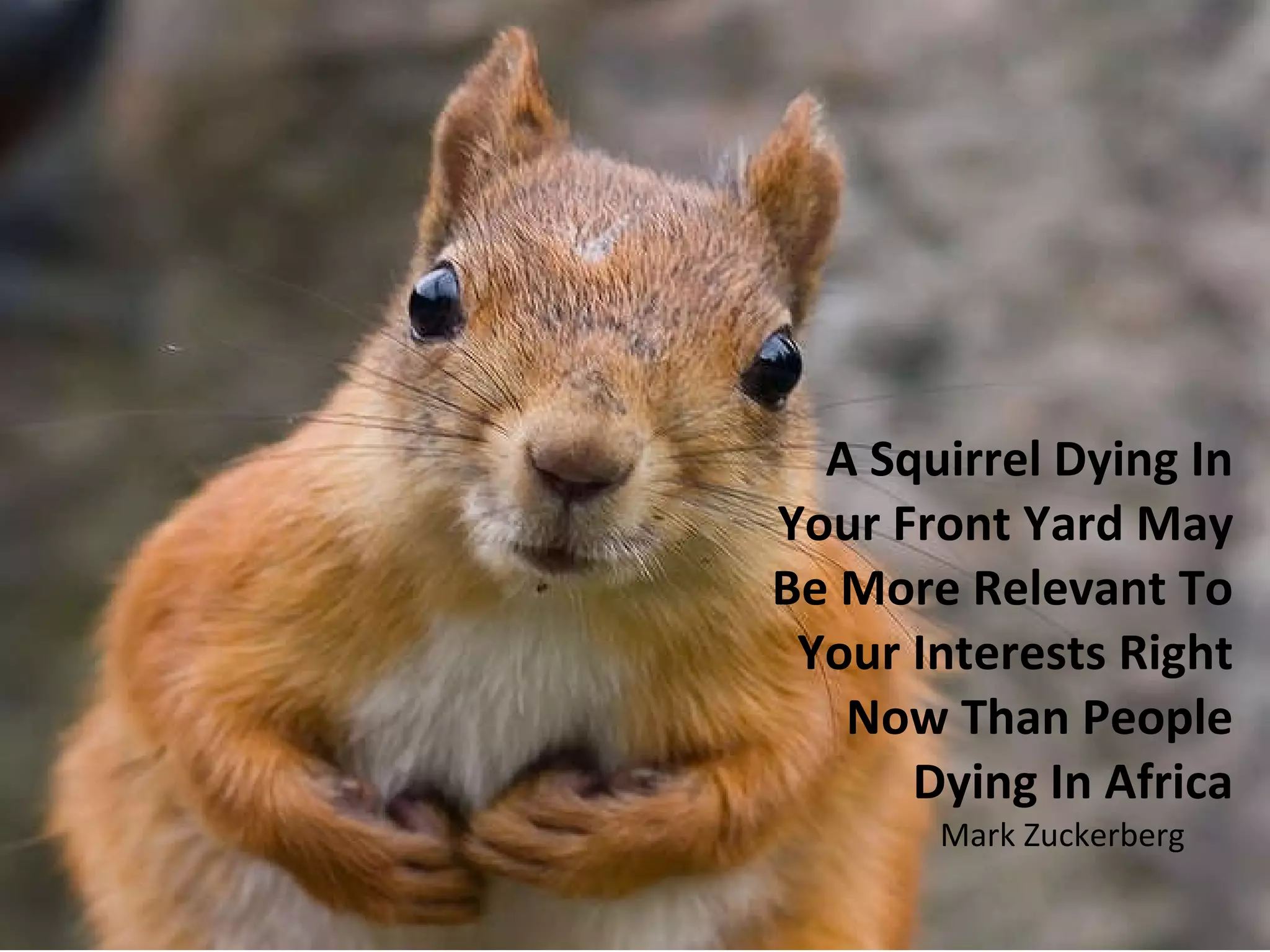 A Squirrel Dying In Your Front Yard May Be More Relevant To Your Interests Right Now Than People Dying In Africa Mark Zuckerberg 