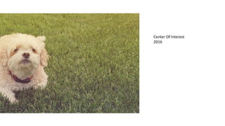 Center Of Interest
2016
 