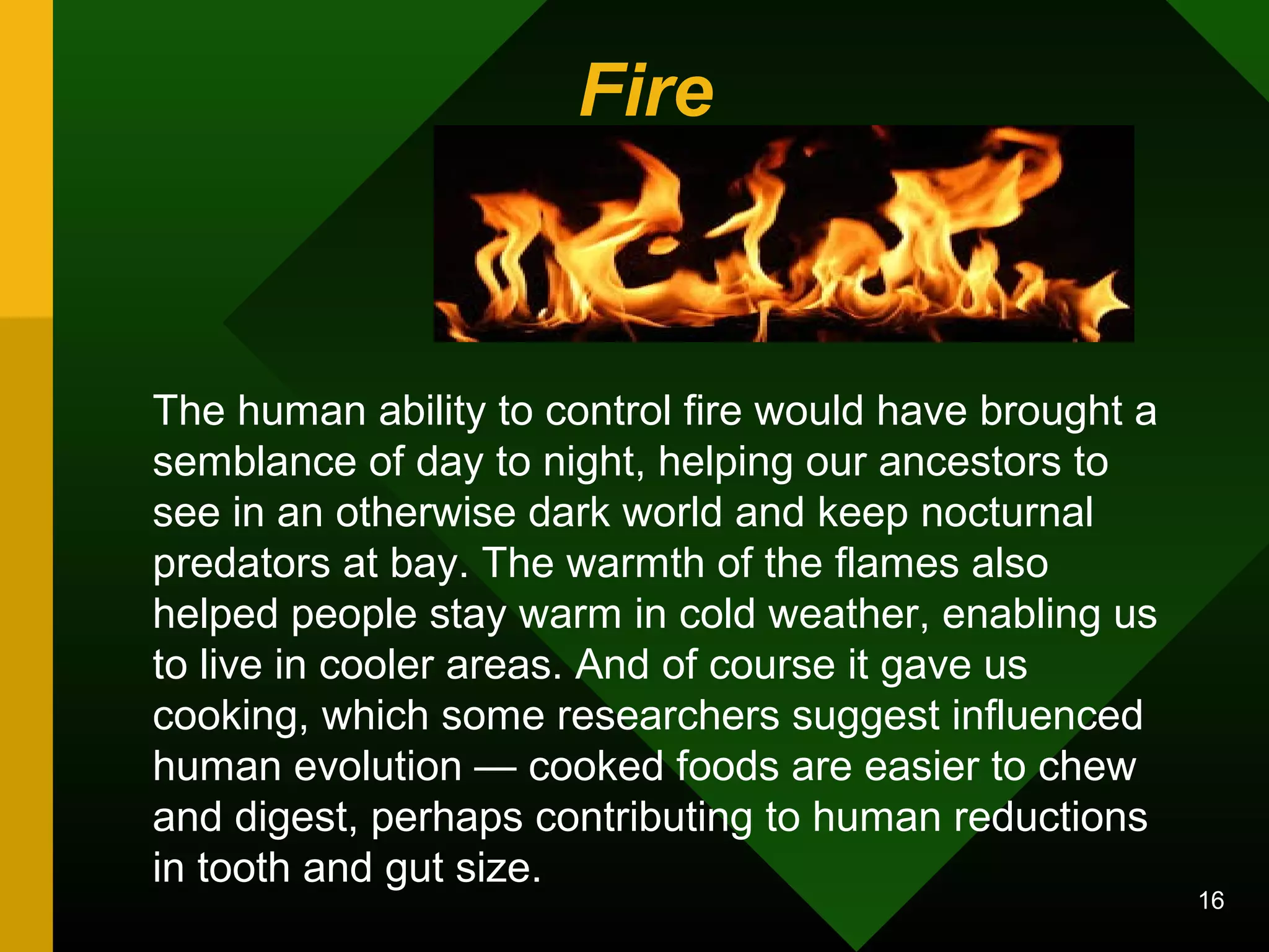 Fire 
The human ability to control fire would have brought a 
semblance of day to night, helping our ancestors to 
see in an otherwise dark world and keep nocturnal 
predators at bay. The warmth of the flames also 
helped people stay warm in cold weather, enabling us 
to live in cooler areas. And of course it gave us 
cooking, which some researchers suggest influenced 
human evolution — cooked foods are easier to chew 
and digest, perhaps contributing to human reductions 
in tooth and gut size. 
16 
 