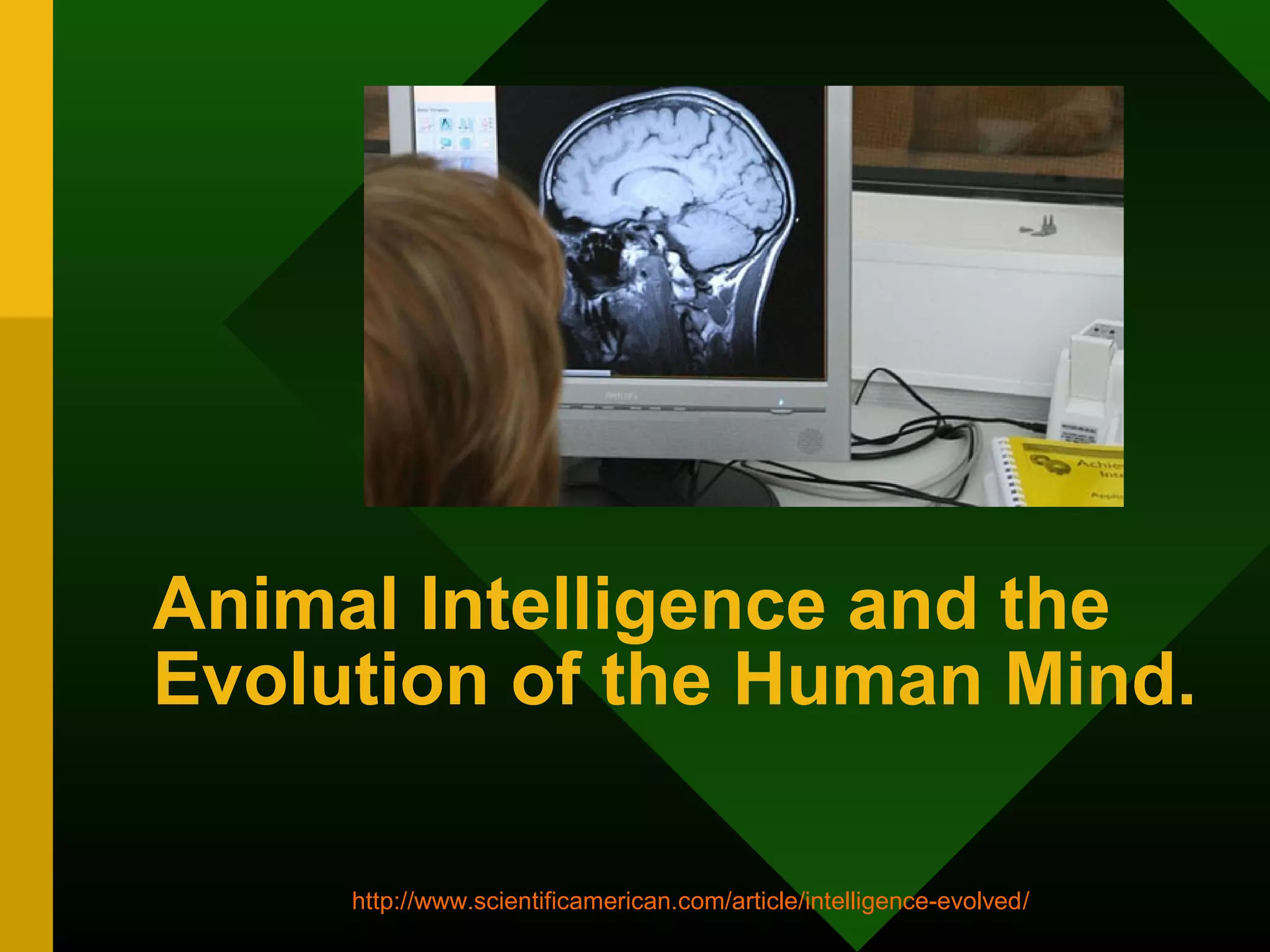 Animal Intelligence and the 
Evolution of the Human Mind. 
http://www.scientificamerican.com/article/intelligence-evolved/ 
 