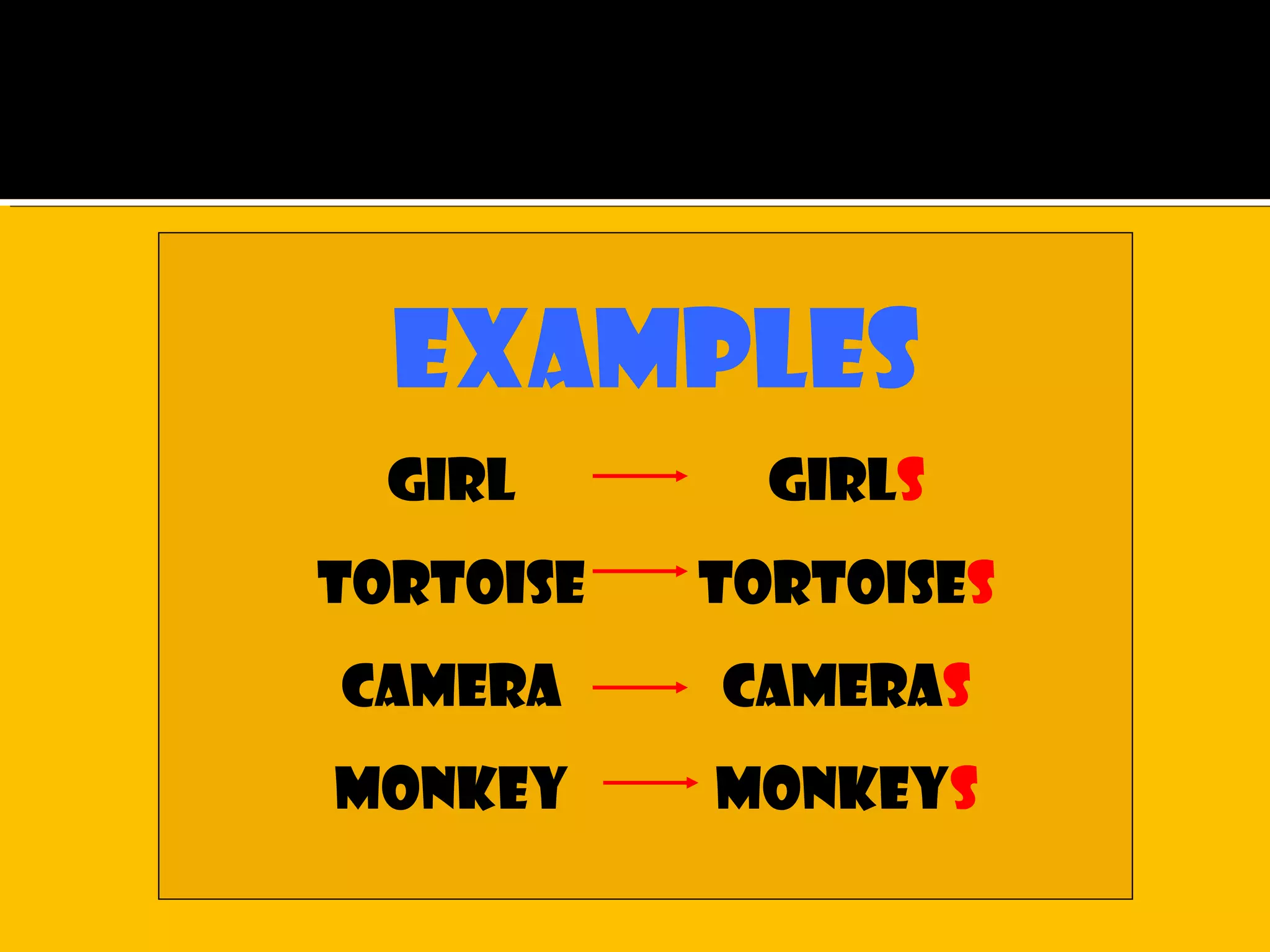 Examples
girl girls
tortoise tortoises
camera cameras
monkey monkeys
 