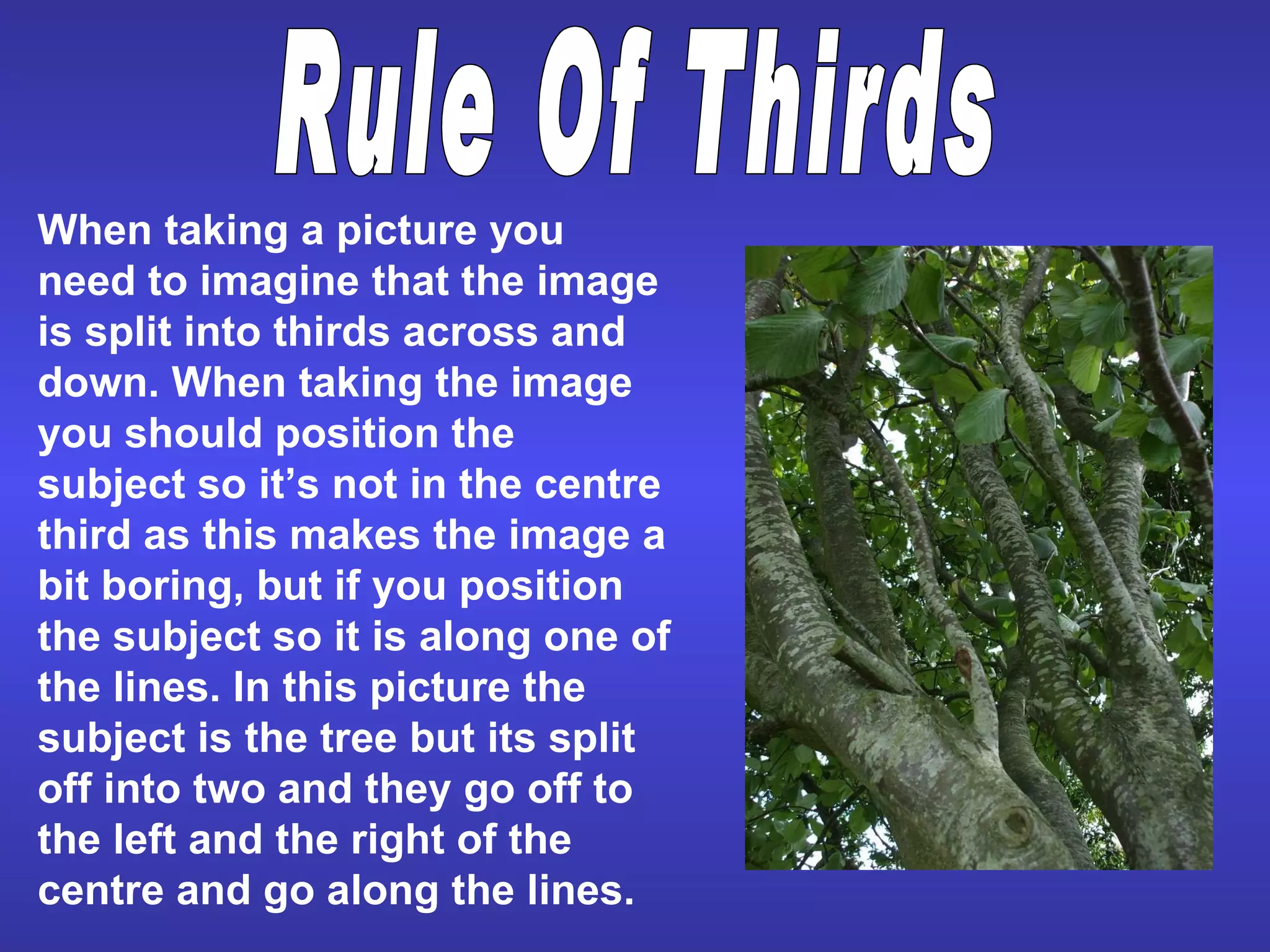 When taking a picture you need to imagine that the image is split into thirds across and down. When taking the image you should position the subject so it’s not in the centre third as this makes the image a bit boring, but if you position the subject so it is along one of the lines. In this picture the subject is the tree but its split off into two and they go off to the left and the right of the centre and go along the lines. Rule Of Thirds 