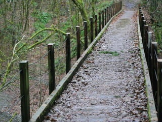 Rulesofcompositionandnature