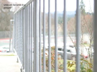 3. LinesLines are dynamic in a picture!