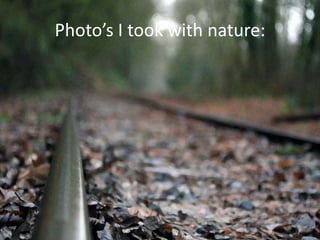 Photo’s I took with nature: