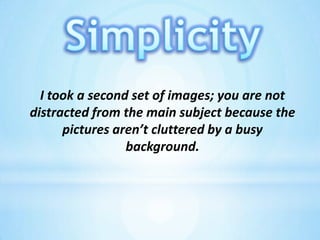 SimplicityI took a second set of images; you are not distracted from the main subject because the pictures aren’t cluttered by a busy background.