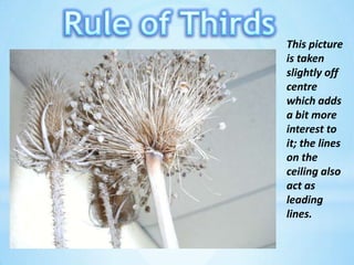 Rule of ThirdsThis picture is taken slightly off centre which adds a bit more interest to it; the lines on the ceiling also act as leading lines.