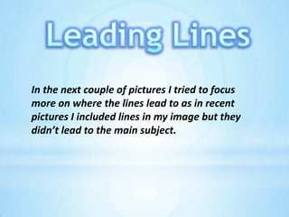 Leading LinesIn the next couple of pictures I tried to focus more on where the lines lead to as in recent pictures I included lines in my image but they didn’t lead to the main subject.