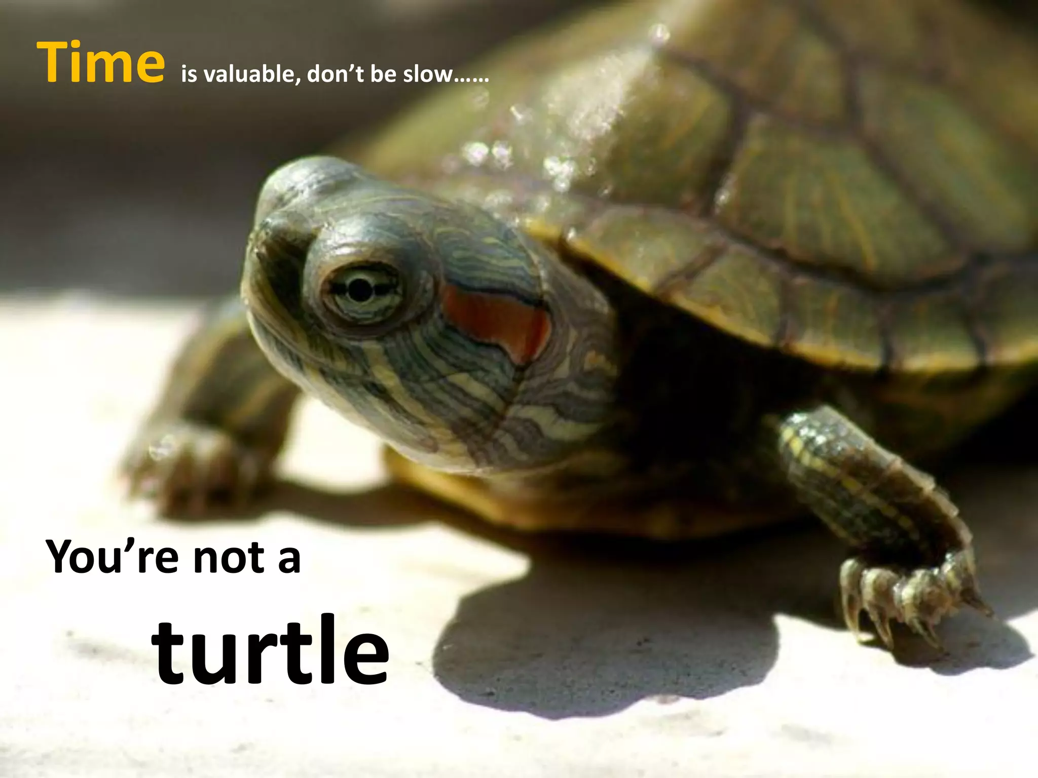 You’re not a
turtle
Time is valuable, don’t be slow……
 