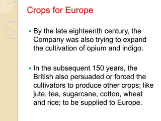 Crops for Europe
 By the late eighteenth century, the
Company was also trying to expand
the cultivation of opium and indigo.
 In the subsequent 150 years, the
British also persuaded or forced the
cultivators to produce other crops; like
jute, tea, sugarcane, cotton, wheat
and rice; to be supplied to Europe.
 
