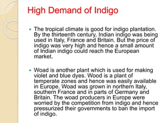 High Demand of Indigo
 The tropical climate is good for indigo plantation.
By the thirteenth century, Indian indigo was being
used in Italy, France and Britain. But the price of
indigo was very high and hence a small amount
of Indian indigo could reach the European
market.
 Woad is another plant which is used for making
violet and blue dyes. Wood is a plant of
temperate zones and hence was easily available
in Europe. Woad was grown in northern Italy,
southern France and in parts of Germany and
Britain. The woad producers in Europe were
worried by the competition from indigo and hence
pressurized their governments to ban the import
of indigo.
 