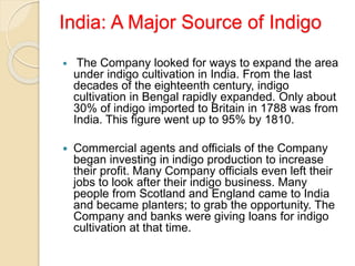 India: A Major Source of Indigo
 The Company looked for ways to expand the area
under indigo cultivation in India. From the last
decades of the eighteenth century, indigo
cultivation in Bengal rapidly expanded. Only about
30% of indigo imported to Britain in 1788 was from
India. This figure went up to 95% by 1810.
 Commercial agents and officials of the Company
began investing in indigo production to increase
their profit. Many Company officials even left their
jobs to look after their indigo business. Many
people from Scotland and England came to India
and became planters; to grab the opportunity. The
Company and banks were giving loans for indigo
cultivation at that time.
 