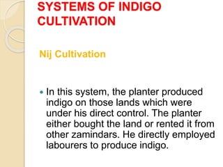 SYSTEMS OF INDIGO
CULTIVATION
Nij Cultivation
 In this system, the planter produced
indigo on those lands which were
under his direct control. The planter
either bought the land or rented it from
other zamindars. He directly employed
labourers to produce indigo.
 