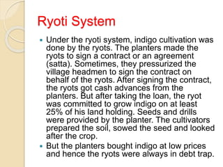 Ryoti System
 Under the ryoti system, indigo cultivation was
done by the ryots. The planters made the
ryots to sign a contract or an agreement
(satta). Sometimes, they pressurized the
village headmen to sign the contract on
behalf of the ryots. After signing the contract,
the ryots got cash advances from the
planters. But after taking the loan, the ryot
was committed to grow indigo on at least
25% of his land holding. Seeds and drills
were provided by the planter. The cultivators
prepared the soil, sowed the seed and looked
after the crop.
 But the planters bought indigo at low prices
and hence the ryots were always in debt trap.
 