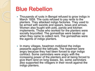Blue Rebellion
 Thousands of ryots in Bengal refused to grow indigo in
March 1859. The ryots refused to pay rents to the
planters. They attacked indigo factories. They used to
be armed with swords and spears, bows and arrows.
Women also fought with pots, panda and kitchen
implements. Those who worked for the planters were
socially boycotted. The gomasthas were beaten up
when they came to collect rent. The gomasthas were
the agents of indigo planters.
 In many villages, headmen mobilized the indigo
peasants against the lathiyals. The headmen were
angry because they had been forced to sign indigo
contract. Some zamindars were angry with the
increasing power of the planters and at being forced to
give them land on long leases. So, some zamindars
also supported the villagers in their revolt against the
indigo planters.
 
